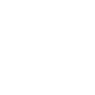 DÄMMWERK 2019 - made in Berlin